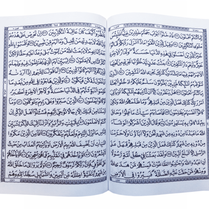 mushaf-standart-tohaputra