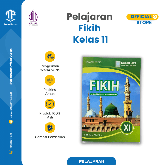 FK-11-1 FK-11-1