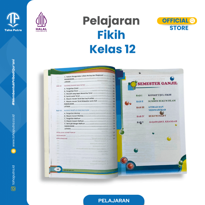 FK-12-6 FK-12-6