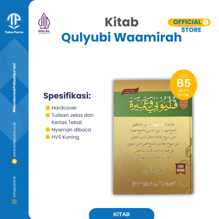 QULYUBI-2