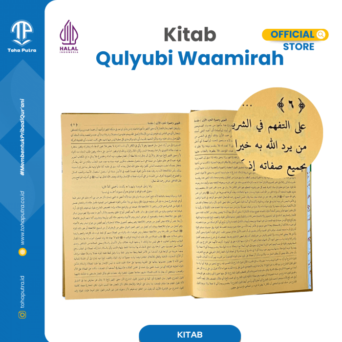 QULYUBI-3