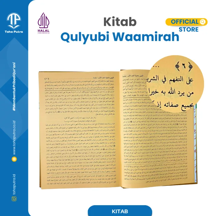 QULYUBI-3 QULYUBI-3