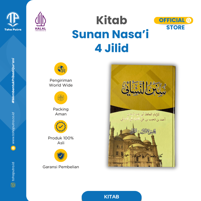 S-NASAI-1 S-NASAI-1
