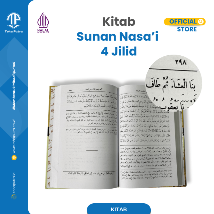 S-NASAI-3 S-NASAI-3